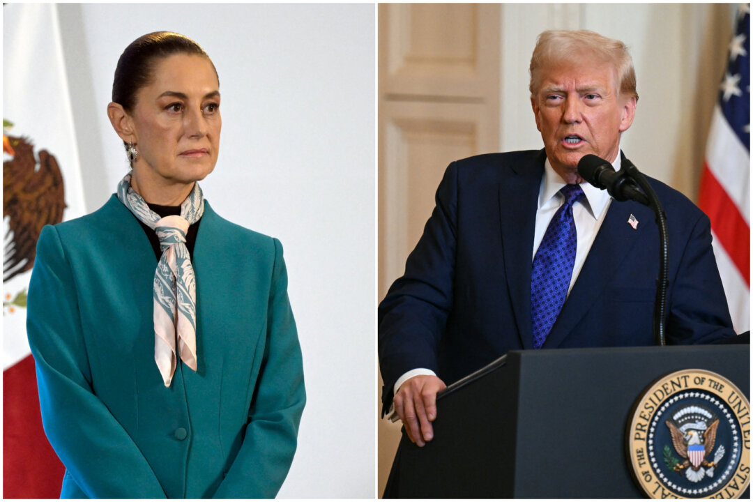 Trump Confirms He Offered to Send US Troops to Mexico to Fight Cartels