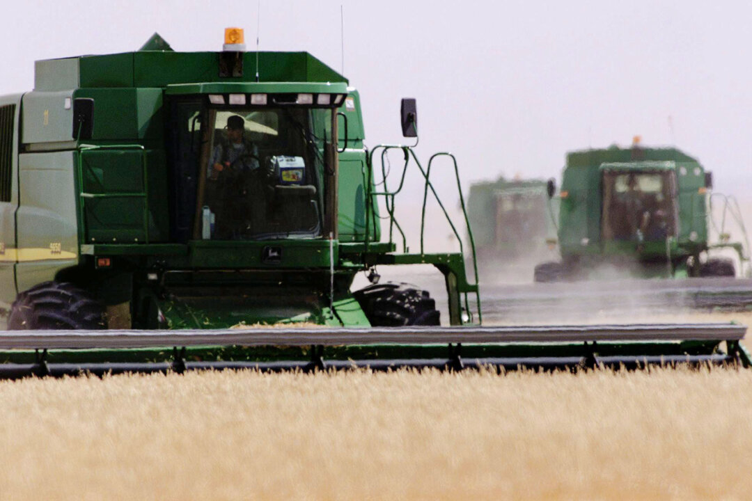 Manitoba Judge Dismisses Final Lawsuit Over Dismantling of Canadian Wheat Board