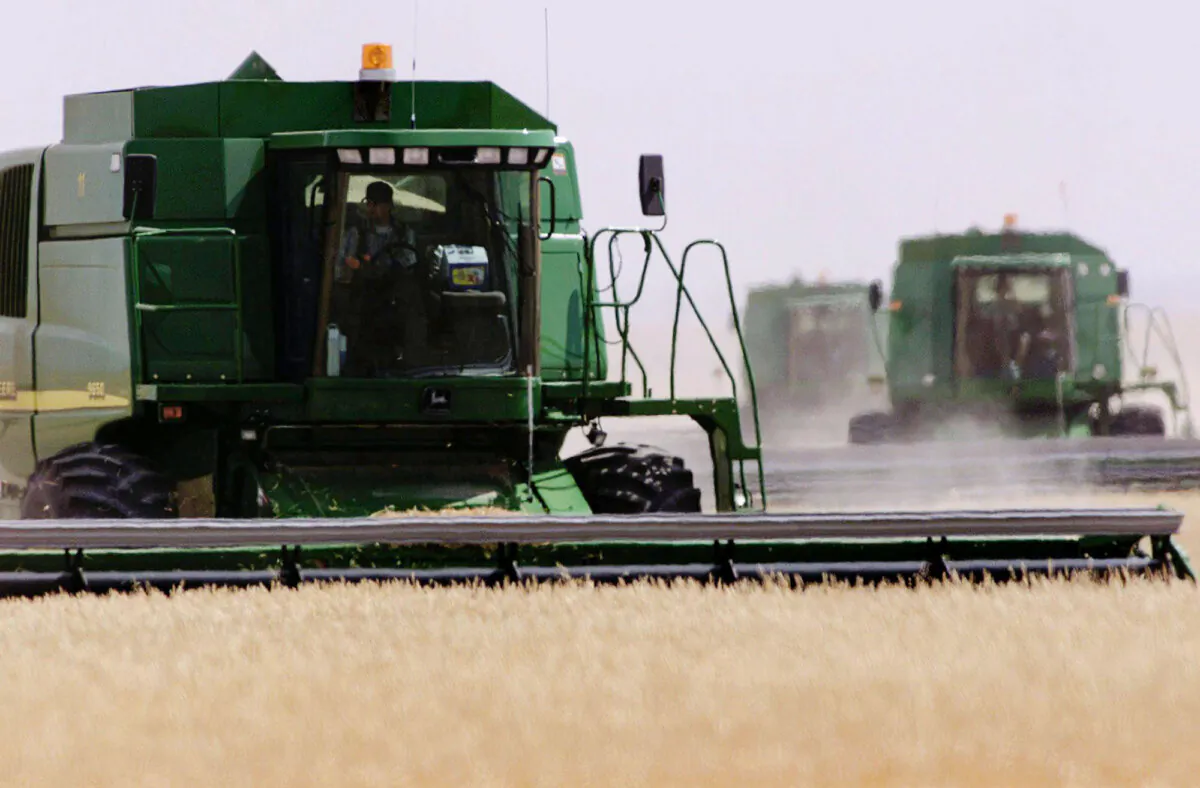 A farmer harvests his wheat field near Vulcan, Alta., in a file photo. (The Canadian Press/Adrian Wyld)
