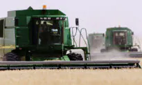 Canadian Farmers Brace for Double-Edged Tariffs