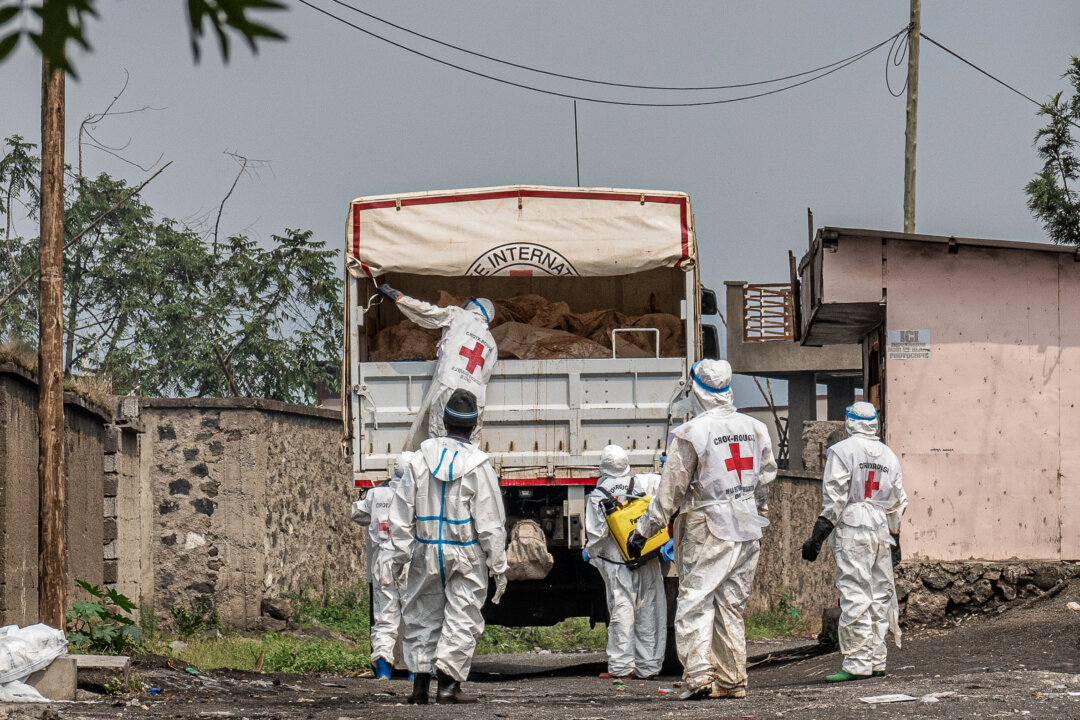 Day in Photos: Victims in Goma, Earthquakes on Tourist Island, and Stradivarius Violin