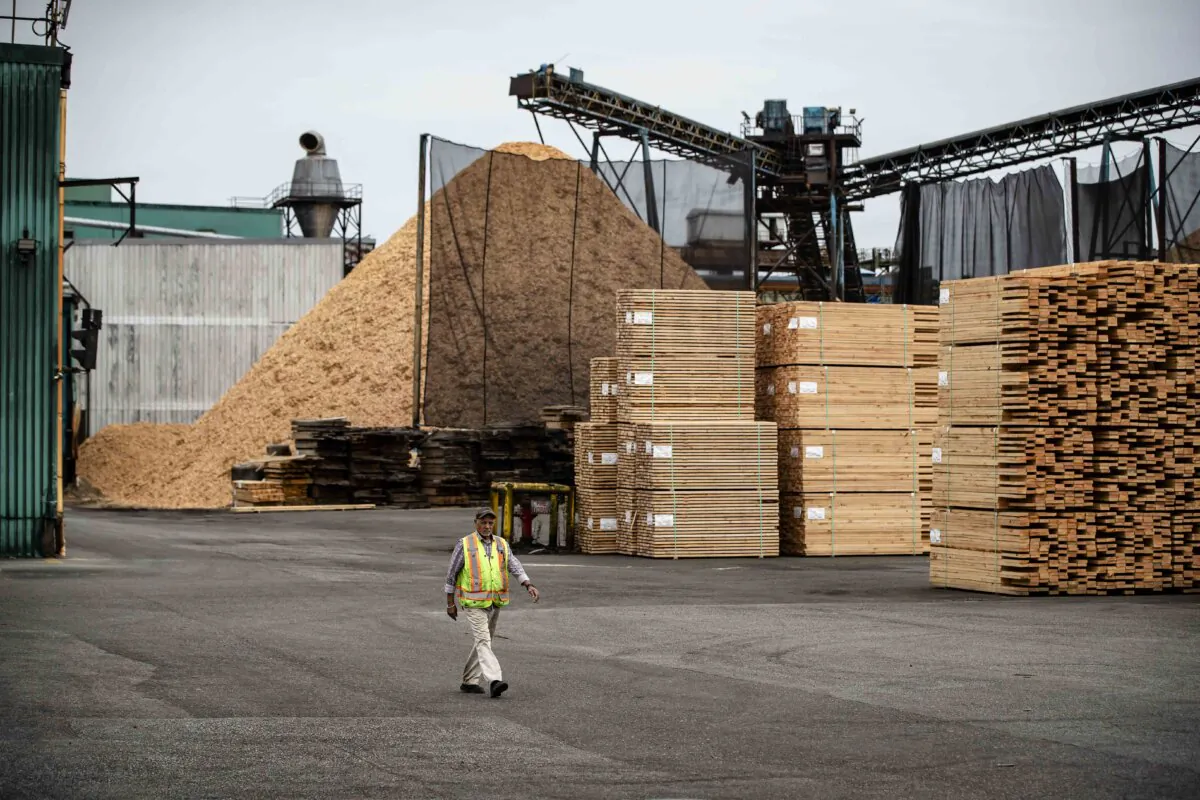Stacks of lumber are seen at Teal-Jones Group sawmill in Surrey, B.C., on May 30, 2021. (The Canadian Press/Darryl Dyck) 