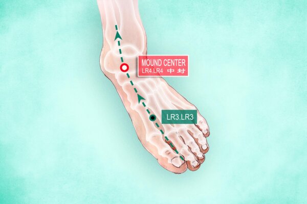 Zhong Feng (LR4): A Lesser-Known Acupoint Valuable for Older People