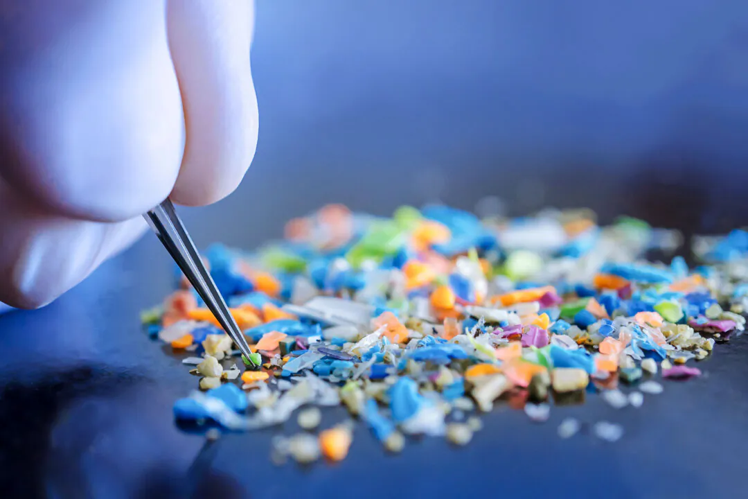 (SIVStockStudio/Shutterstock)