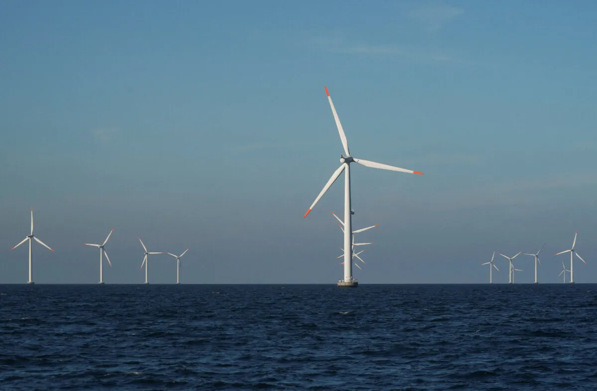 Turbines at Orsted's offshore wind farm near Nysted, Denmark, on Sept. 4, 2023. (Tom Little/Reuters)