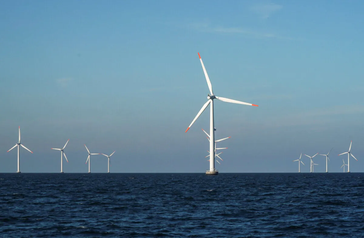 Turbines at Orsted's offshore wind farm near Nysted, Denmark, on Sept. 4, 2023. (Tom Little/Reuters)