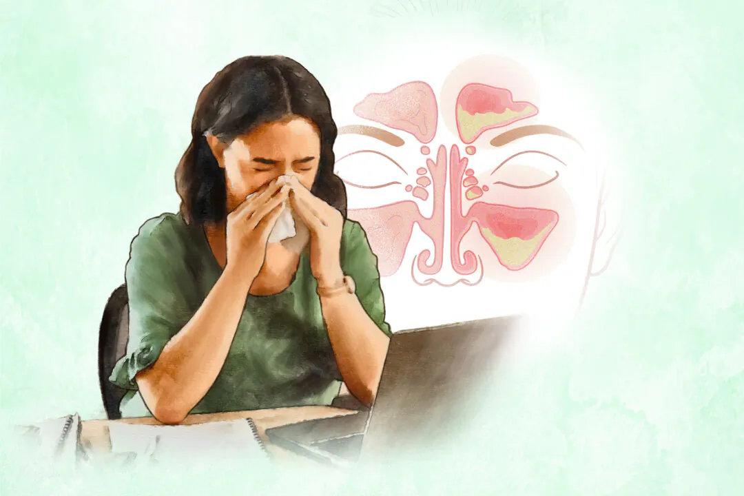 Sinus infections occur when factors such as viruses or allergens cause inflammation and mucus buildup in any of the four pairs of sinuses. (Illustration by Lumi Liu)