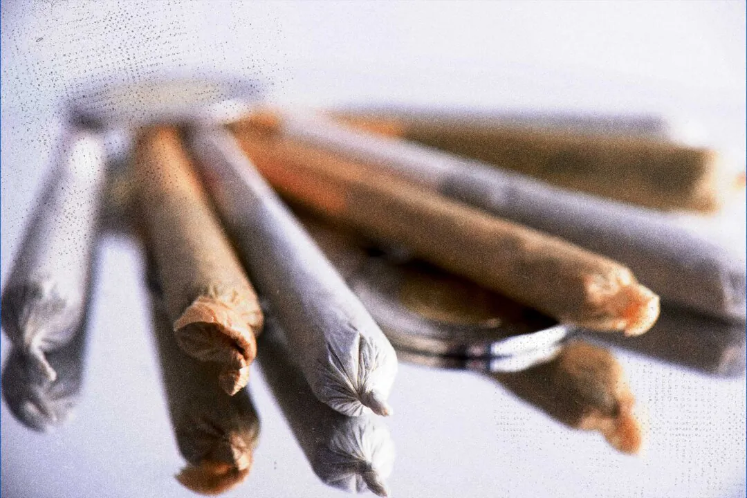 (Roxana Gonzalez/Shutterstock)