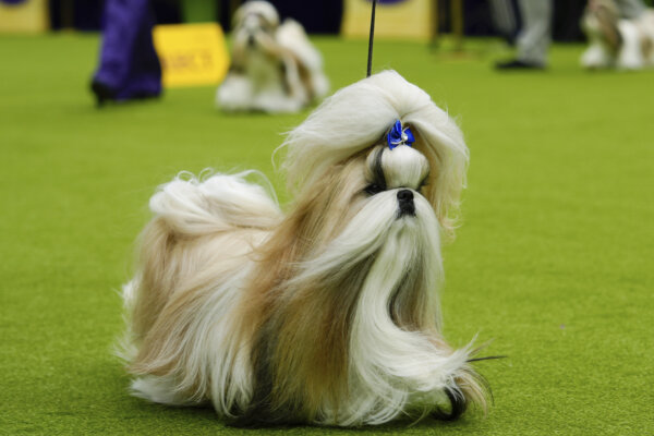 Epoch Times Photo