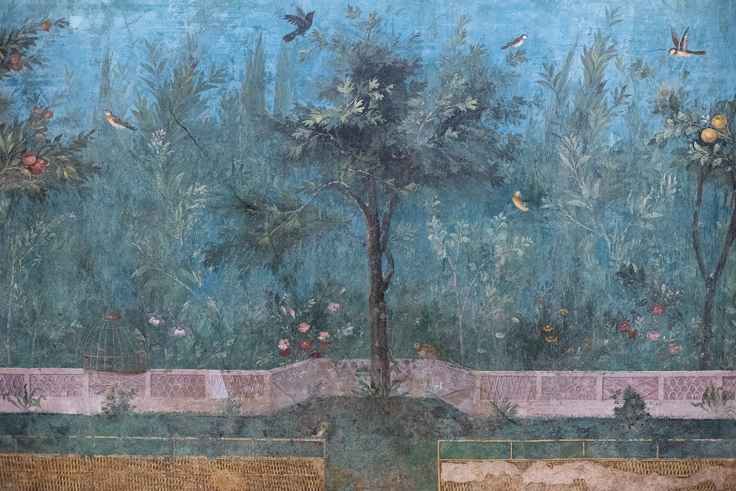 oak in villa of Livia