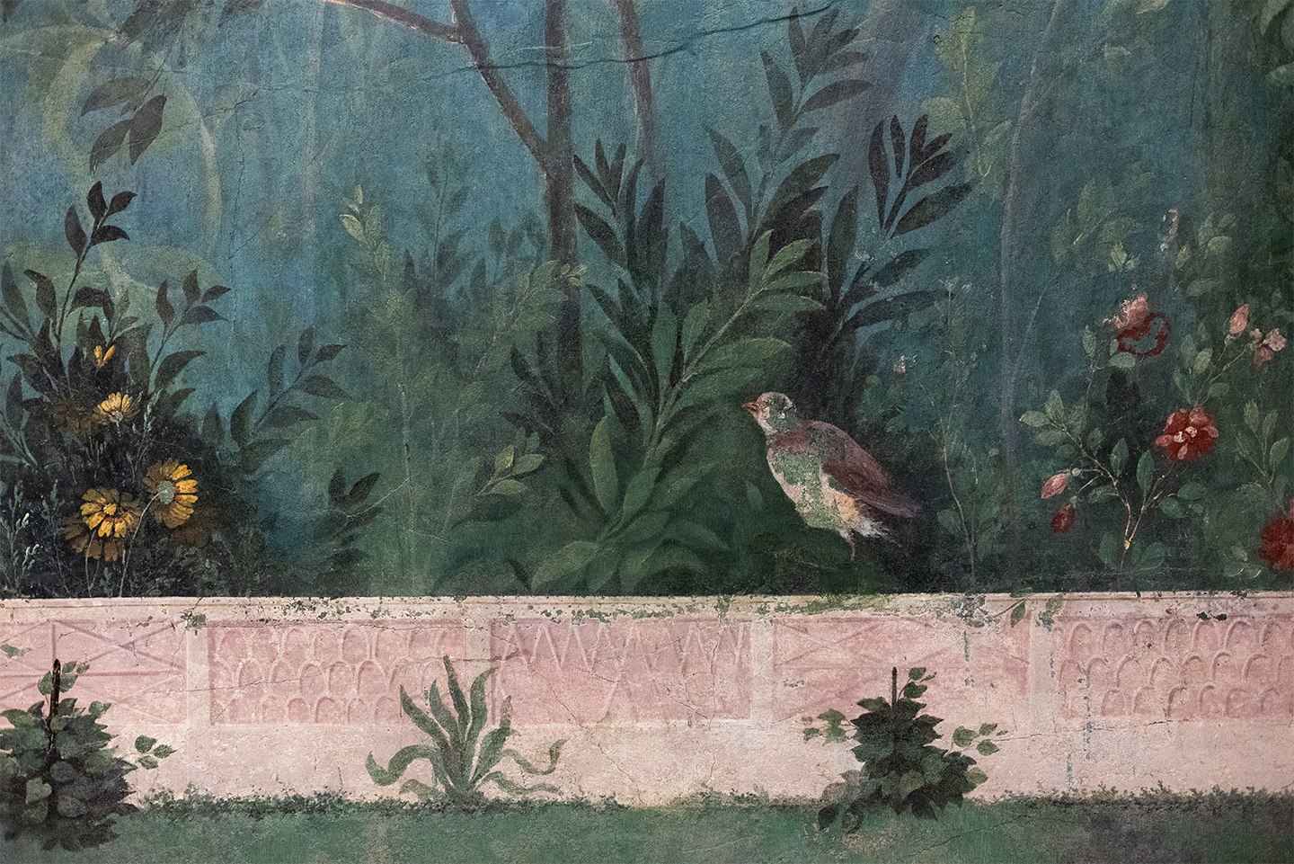 detail of villa of Livia fresco