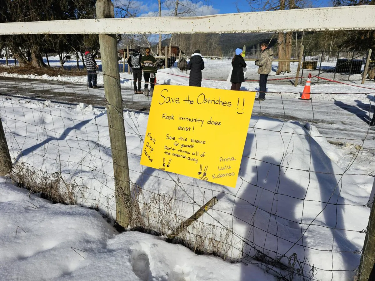 A handmade sign posted on the property of Universal Ostrich Farms in Edgewood, B.C., during a rally by supporters hoping to prevent a cull of more than 400 ostriches. (Courtesy of Peyman Askari)