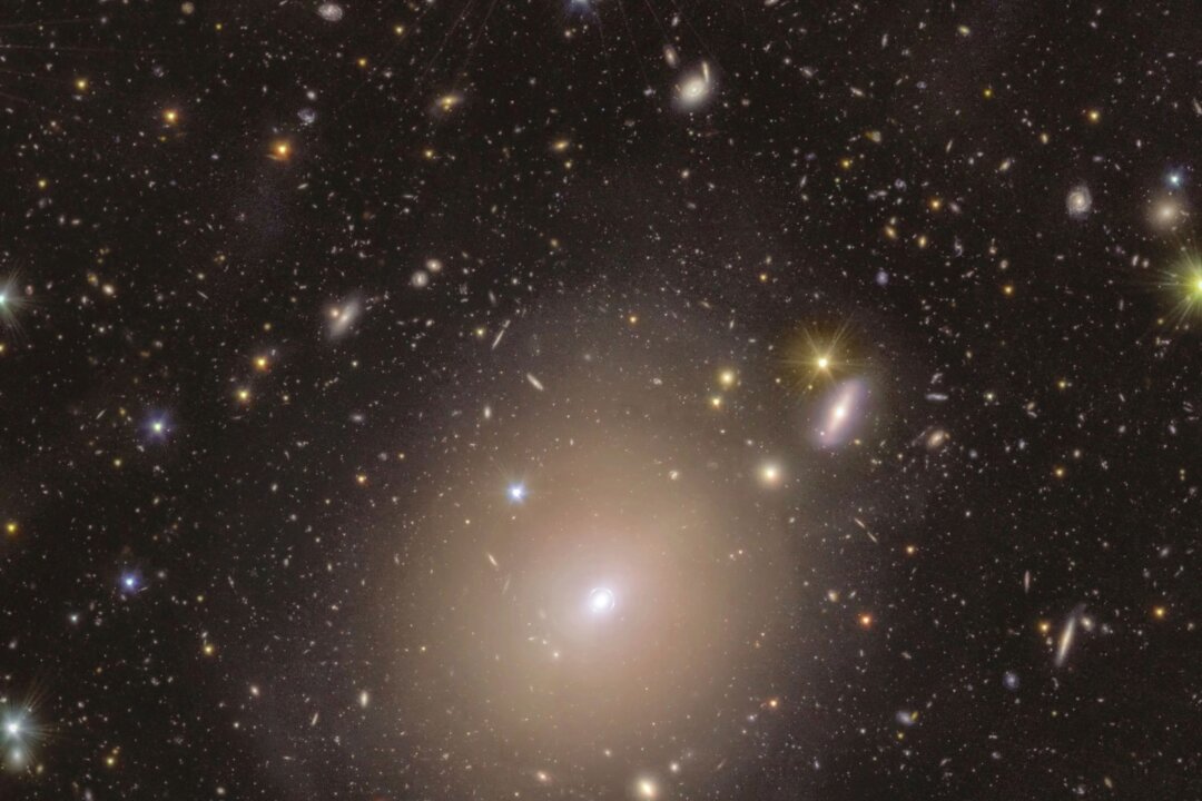 Space Telescope Spots Rare ‘Einstein Ring’ of Light Around Galaxy in Our Cosmic Neighborhood