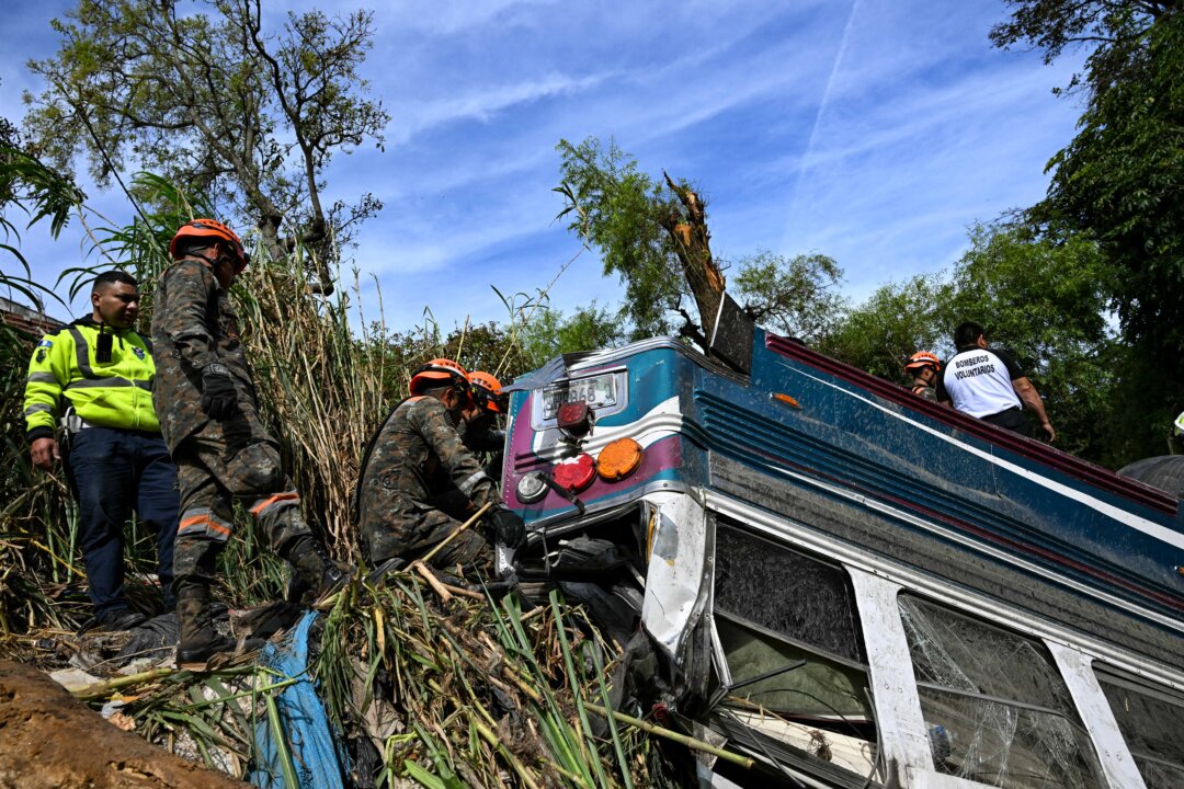 Day in Photos: Bus Crash in Guatemala, Bushfire in Argentina, and Dog Show in New York