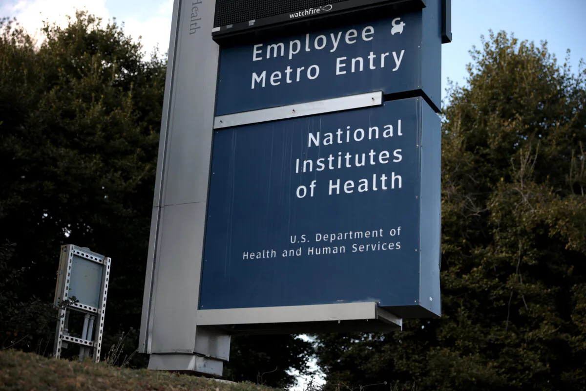 A sign for the National Institutes of Health stands near an entrance to its campus in Bethesda, Md., on February 10, 2025. (Photo by Alex Wong/Getty Images)