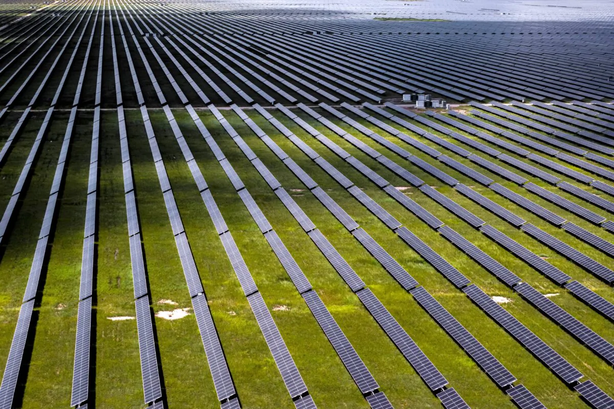 A general view of Australia's largest solar farm, the Western Downs Green Power Hub, in Chinchilla in Queensland, Australia on Jan. 17, 2025. (Brook Mitchell/Getty Images)