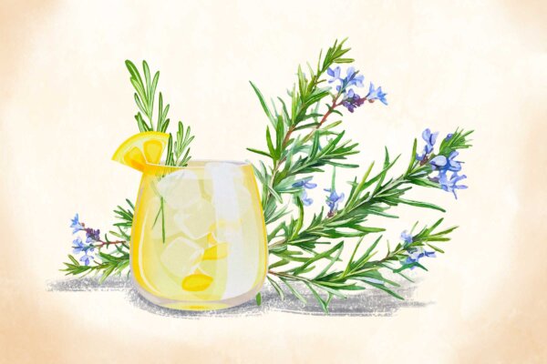 Rosemary: An Herb of Love With Cognition-Boosting Power