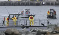Navy Jet Crashes Into San Diego Bay, 2 Rescued