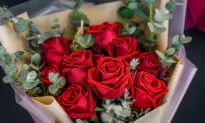 The Trail of the Valentine’s Day Rose