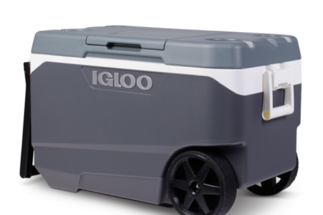 Igloo Coolers Recalled in Canada, US After Reports of Fingertip Amputations