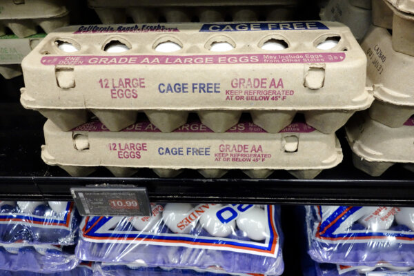 USDA Issues Egg Price Warning