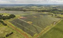 Queensland to Review 3 Emissions Targets, Signals Slower Transition to Net Zero