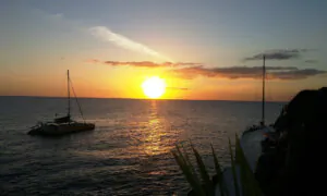 Sunset at the Palms: Getting One’s Goat in Jamaica