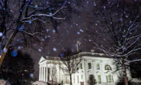 Elon Musk Not DOGE Employee, Has No Decision-Making Authority: White House
