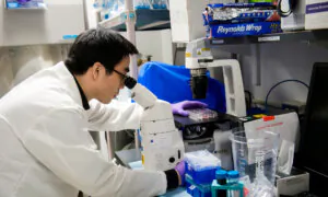 Senate Committee Hearing on Security Risks Posed by Certain Foreign Nationals in National Labs