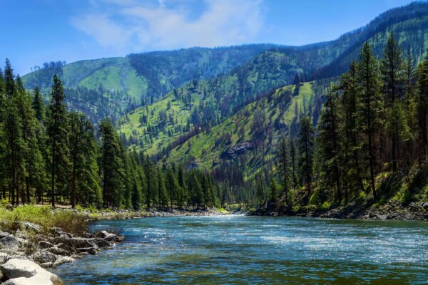 the river