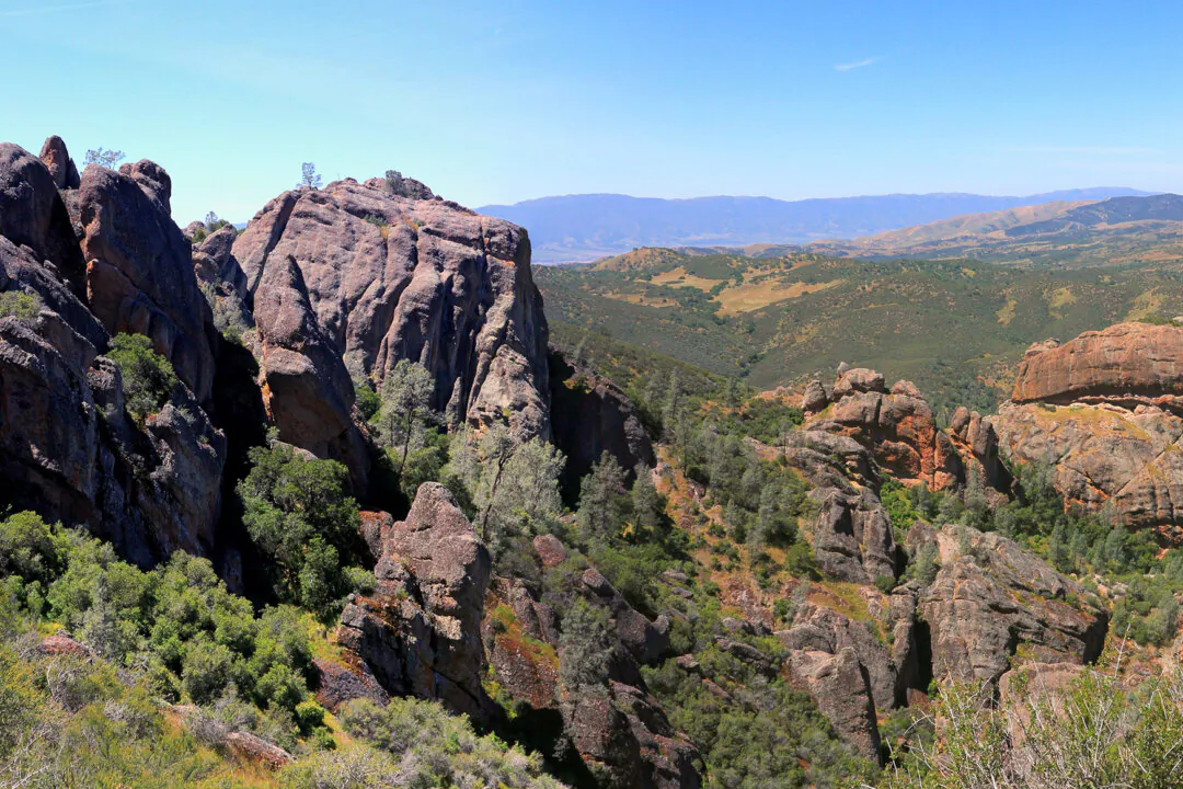 Winter in Pinnacles: What to Do (And What to Avoid) at Your Next National Park Visit