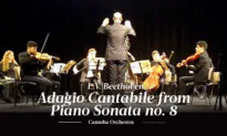 L.V. Beethoven: Adagio Cantabile From Piano Sonata No. 8 | CAMUBA Orchestra
