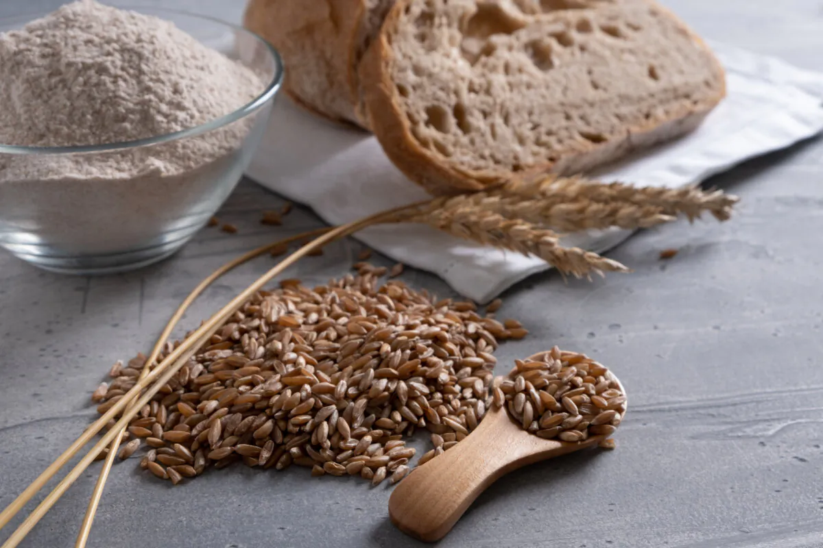 Spelt has a rustic texture and sweet, slightly nutty flavor. (Ange P/Shutterstock)
