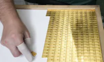 Expect Gold to Shine in 2025