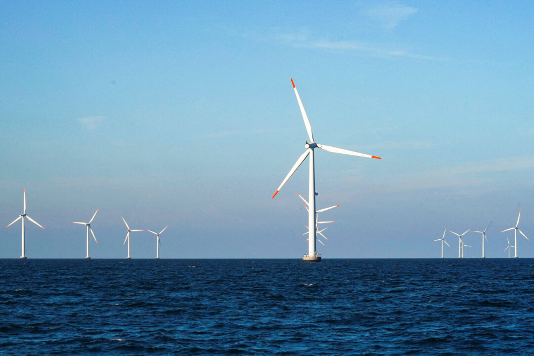 Japan, Newfoundland Implement Offshore Wind Legislation for Energy Growth