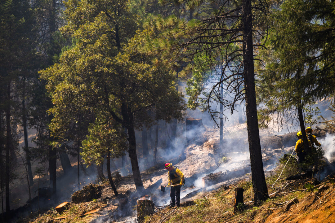 California Timber California Bill Seeks to Streamline State’s Timber Harvesting Process ...