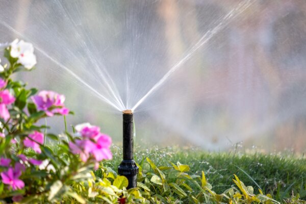 Sprinkler Solutions: Installing DIY Yard Irrigation