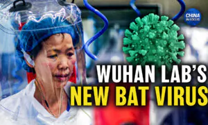 New COVID-Like Bat Virus Discovered in China