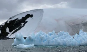 An Otherworldly Journey to the Falklands, South Georgia, and Antarctica