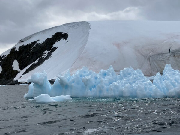 An Otherworldly Journey to the Falklands, South Georgia, and Antarctica