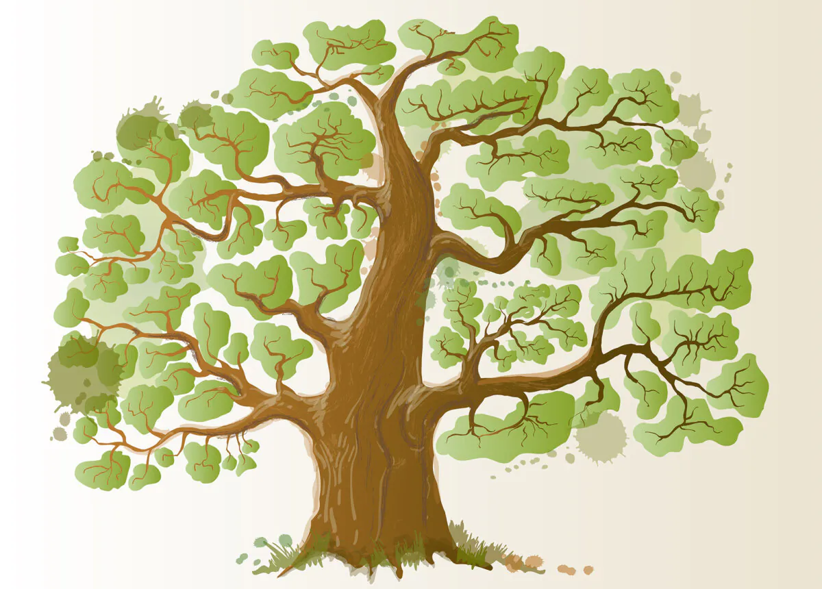 Making a family tree with kids connects them to their roots. (first vector trend/Shutterstock)