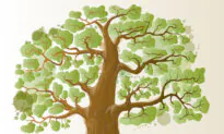 Growing Your Family Tree: Exploring Genealogy With Your Kids