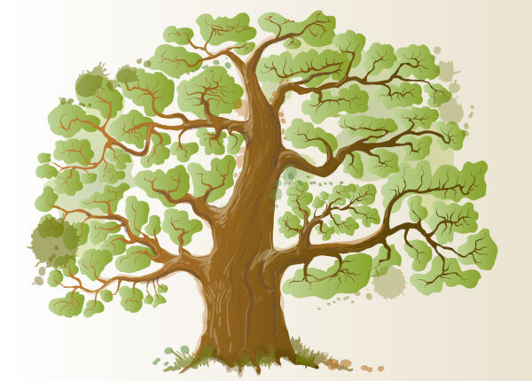 Growing Your Family Tree: Exploring Genealogy With Your Kids