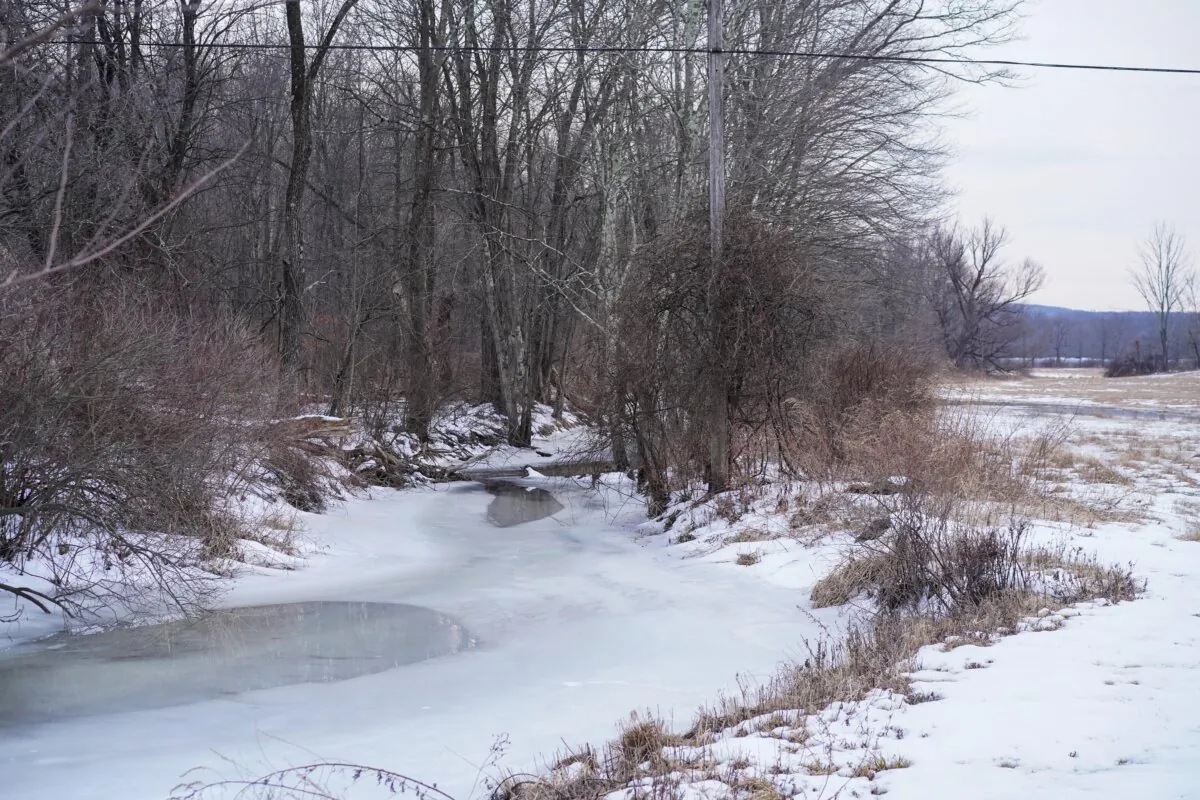 The Indigot Creek in the town of Mount Hope, N.Y., on Feb. 24, 2025. (Cara Ding/The Epoch Times)