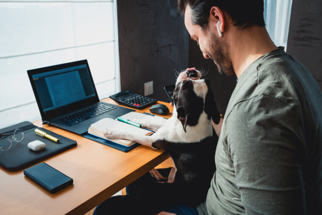 2-Day Work-From-Home Proposal Draws Record 18,000 Responses