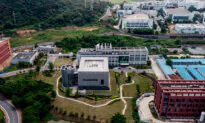 Chinese Researchers in Wuhan Lab Find COVID-Like Bat Virus