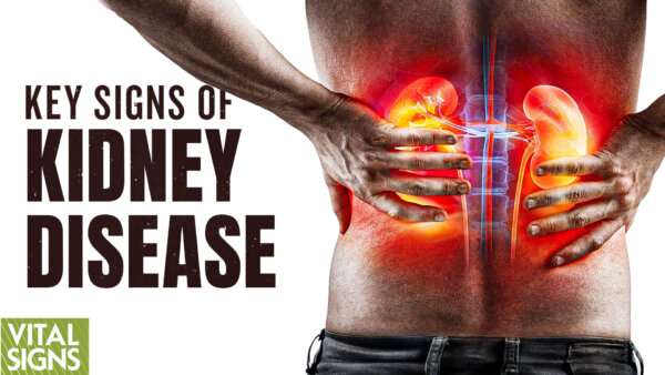 Key Signs of Kidney Disease and Steps to Prevent It