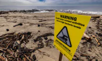 Northern Los Angeles Beaches Become a Temporary Home for Fire Debris