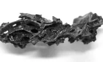 Mount Vesuvius Eruption Turned Man’s Brain Into Glass—Here’s How It Happened