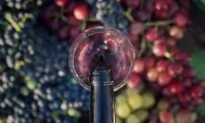 Natural Wine